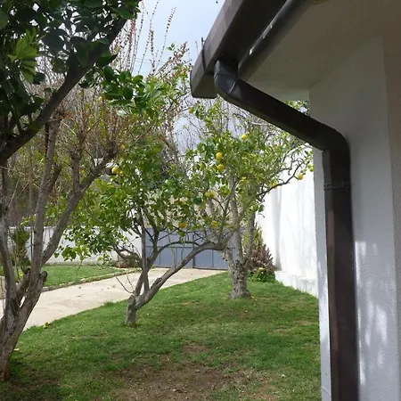 Elisa * كوارتو سانتيلينا